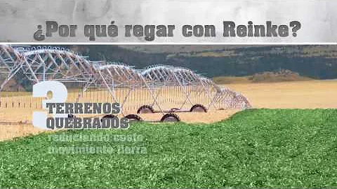 Reinke