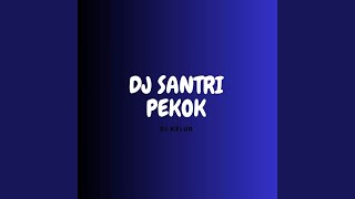 DJ SANTRI PEKOK JEDAG JEDUG