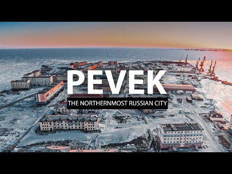 Video: How Chamomiles Sow The City Of Pevek On Their Own In The Far North Of Russia