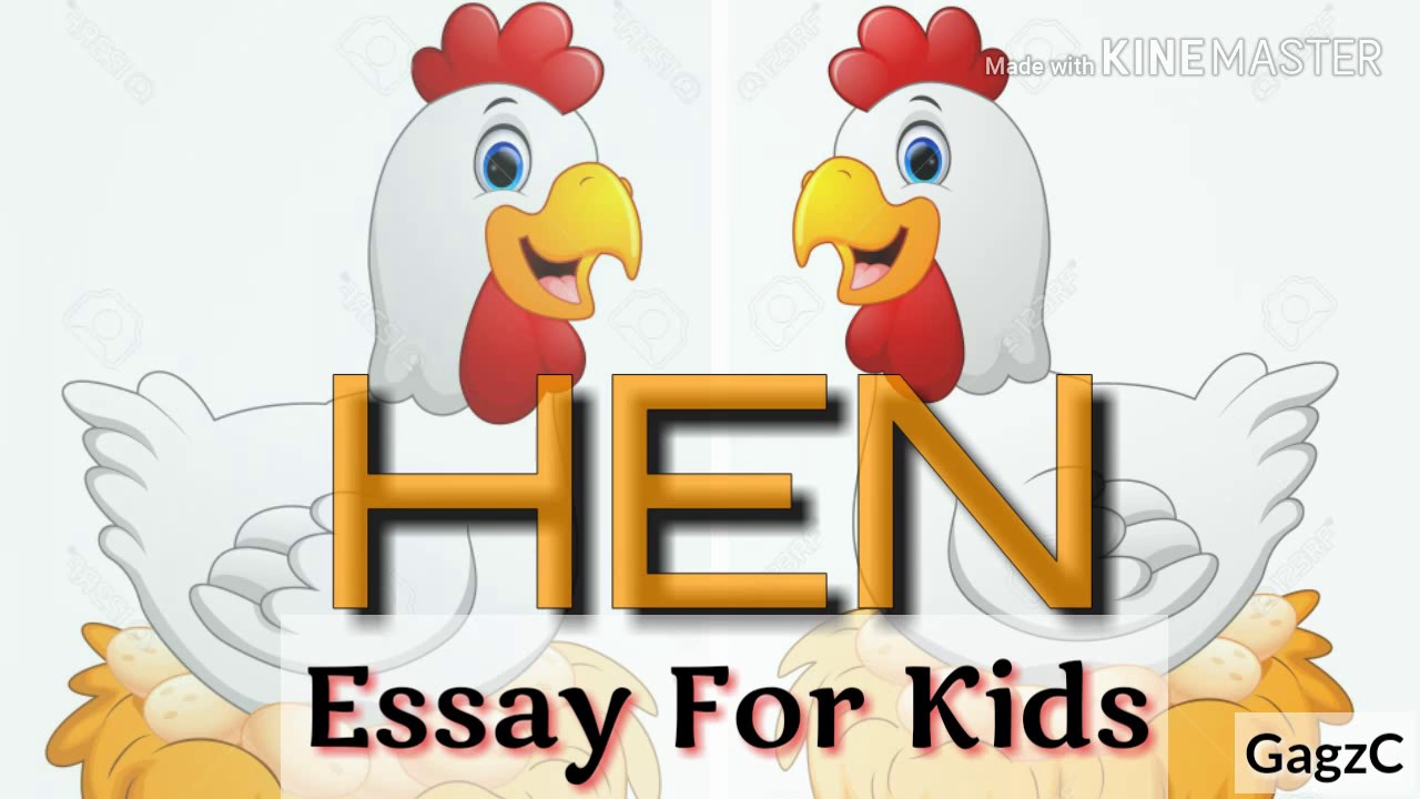 essay on my pet hen