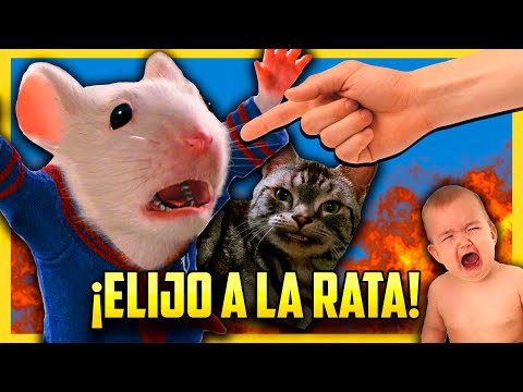 Video: ¿Por qué Stuart Little es un ratón?