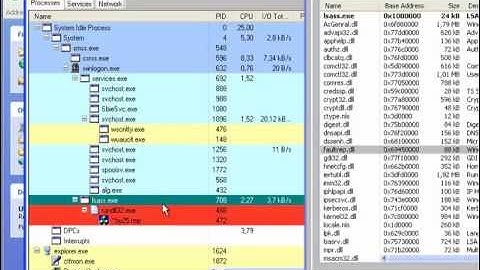 Dynamic Malware Analysis
