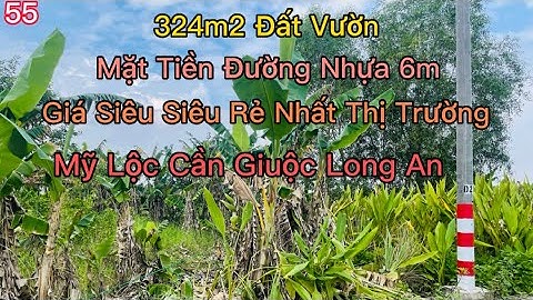 Bán Đất Cần Giuộc Long An 324m2 Đất Vườn Mặt Tiềng Đường Nhựa 6m Giá Chỉ 1ty300tr