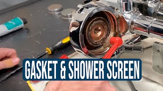 E61 Group Head Maintenance: Gasket & Shower Screen