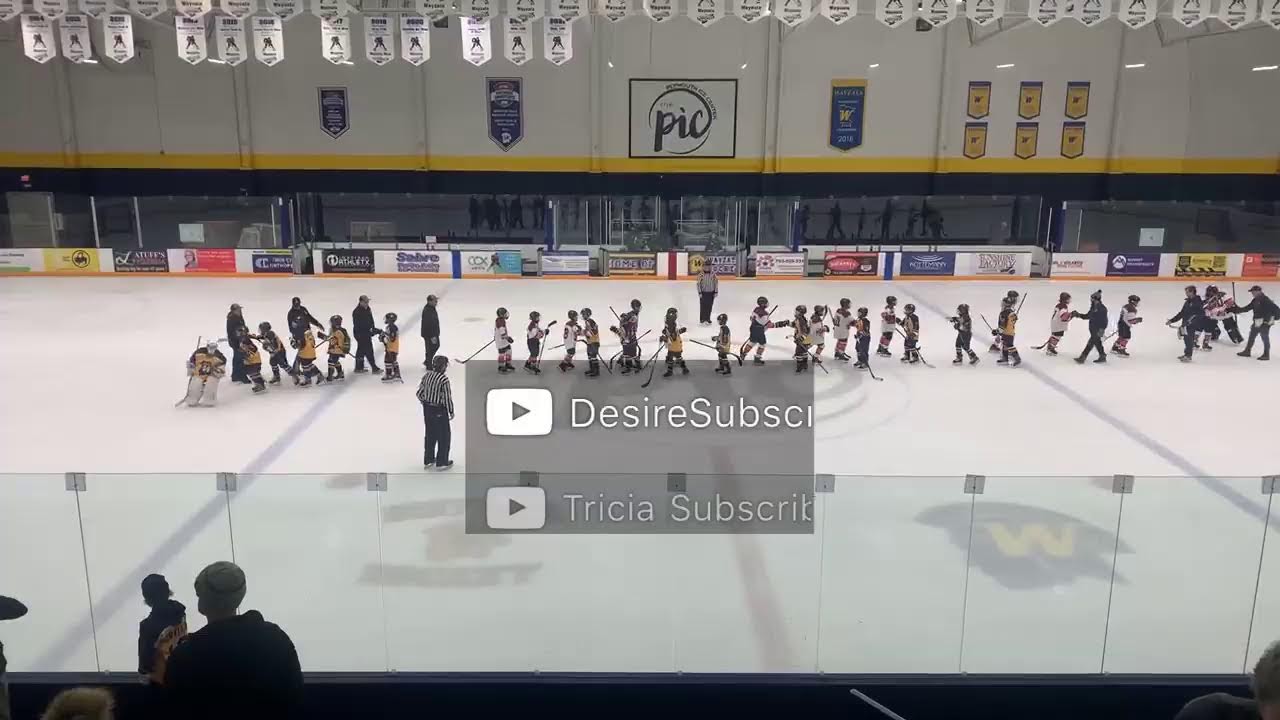 District 3 Tournament: OMGHA Squirt B1 (Gold) vs. Wayzata (White)