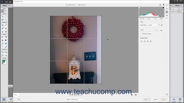 Photoshop Elements 2021 Tutorial Crop and Rotate Tools in Camera Raw Adobe Training