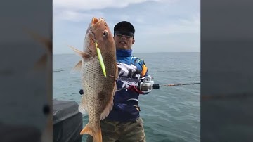 DeepLiner Logical 55#6 Slow Jigging Sea Stone Part 1.