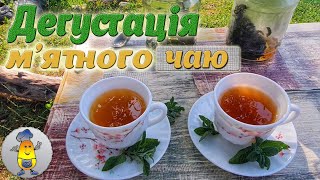 Стоит Ли Ферментировать Мяту Для Чая: Дегустируем И Сравниваем Вкусы