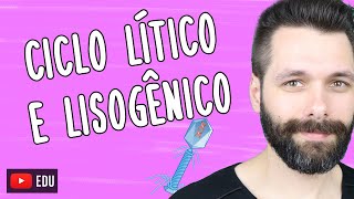 CICLO LÍTICO E LISOGÊNICO - Multiplicação viral | Biologia com Samuel Cunha