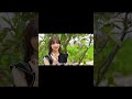 中川くんの名言 迷言まとめてみました 中川大輔 今日好き 今日好きダナン編 Shorts 中川くんの名言 迷言まとめてみました 中川大輔 今日好き 今日好きダナン編 Shorts