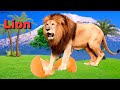 Learn Animals. Names and Sounds. Study animals Video for Children