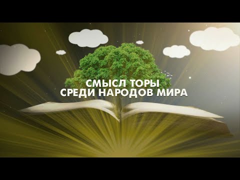 Видео: Дэвид Марчиано Чистая стоимость: Вики, женат, семья, свадьба, зарплата, братья и сестры