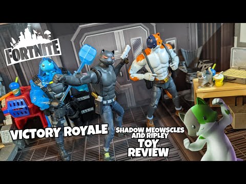 Fortnite victory royale
