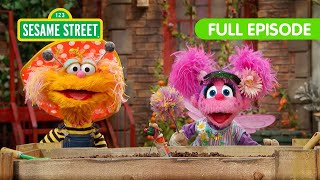 lets celebrate earth day together sesame street full episode