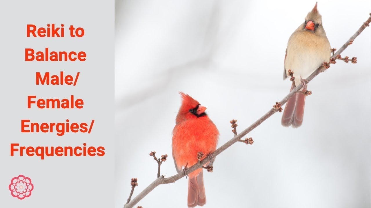 Reiki to Balance Male/Female Energies/Frequencies 💮