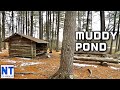 Lets take a walk down to muddy pond & see what is out there mid state trail section