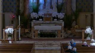 St. Paul the Cross Live Stream