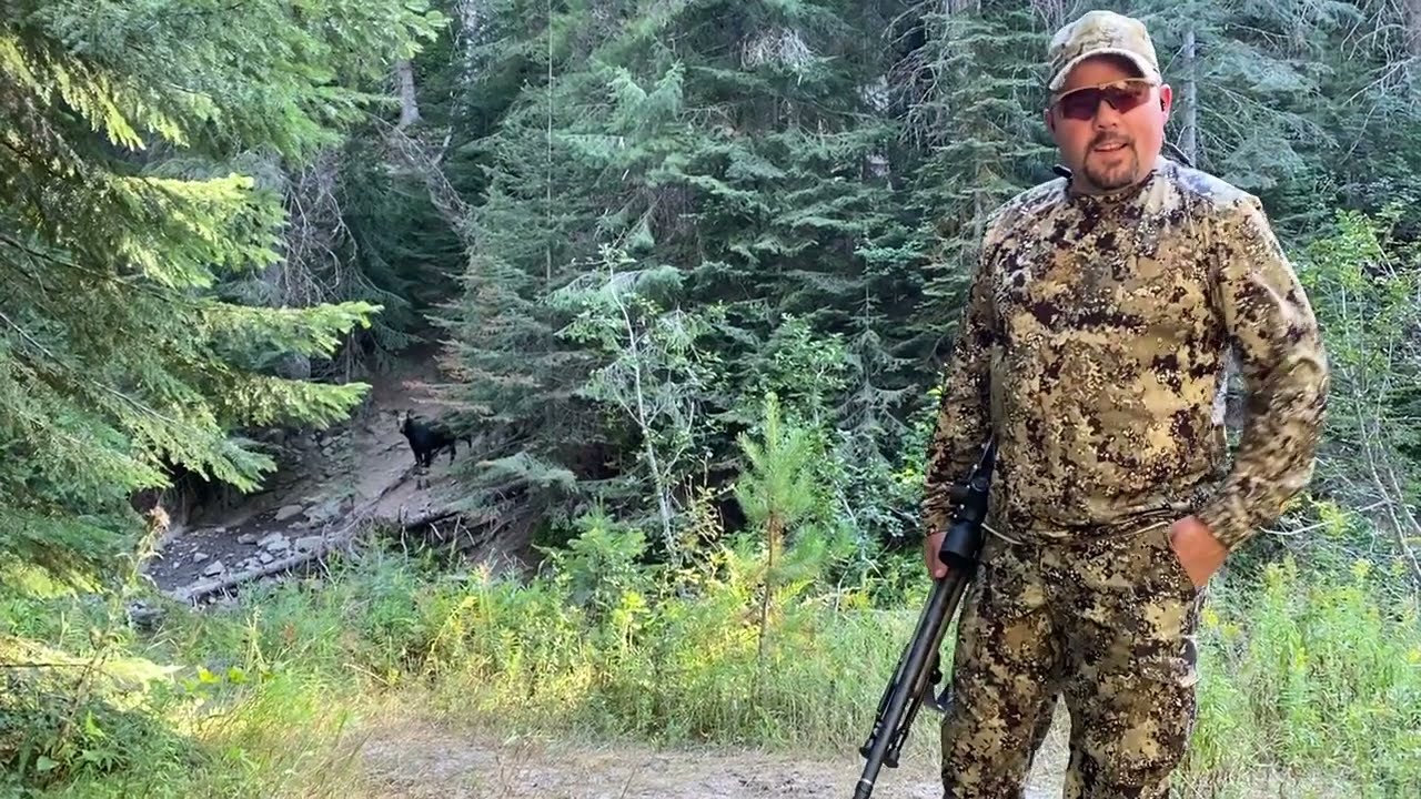 Moose Hunting Tip YouTube