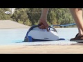 Robot de piscine dolphin s300i  avantages indits