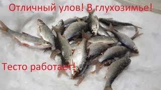 Как поймать сорогу ночью