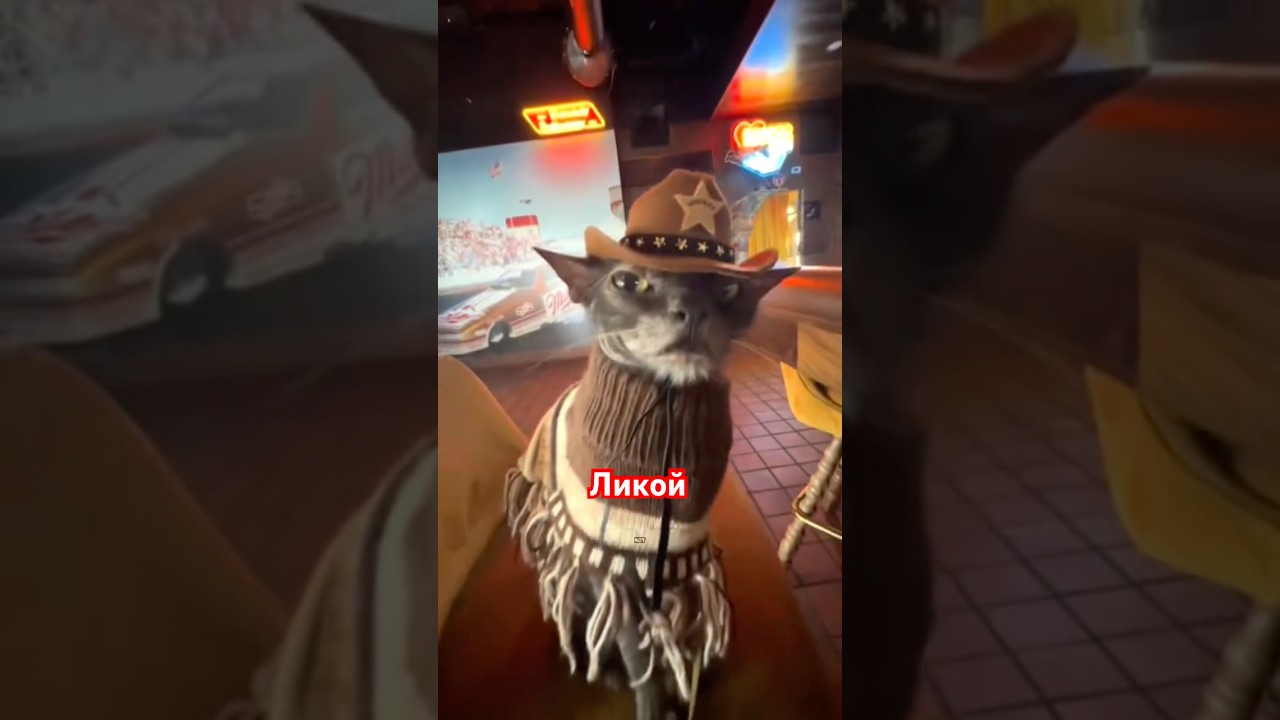 Заведи себе ликоя! 