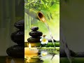 古塤名曲《一念千年》完整珍藏版,曲調感人,疏理肝腎,聰耳明目 #五音療疾  #純音樂  #國樂 #國風 #音樂 #音樂分享 #音乐 哦#弘揚國樂 #纯音乐 #轻音乐