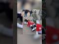 🔴 Minnie Mouse pierde los papeles en Disneyland París