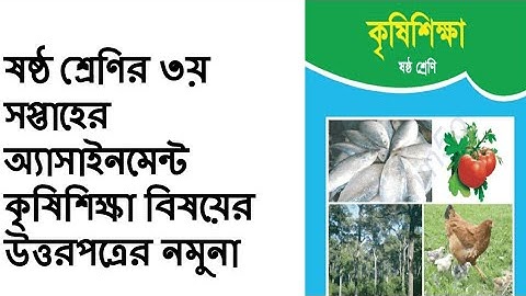 ৬ষ্ঠ শ্রেণির কৃষিশিক্ষা অ্যাসাইনমেন্ট(৩য় সপ্তাহের) //Class 6 assignment Agriculture(3rd week)