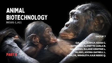 Animal Biotechnology (Part 6: Conclusion & Future Recommendations) | BIO101-1 1T2526 A11 Group 7