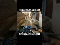 New Bike crash 😰😭🥶 #viral #ytshorts#hyperriding #bike#emotional #reels#vlog#motovlog #n160