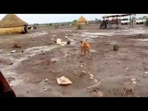 الشاعر ودالخاويه