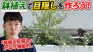 【鉢植えで目隠し植栽】すぐに目隠し出来て設置も簡単！