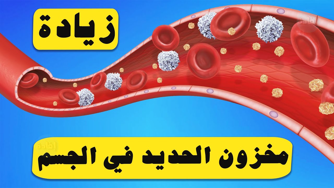 كيفية زيادة مخزون الحديد في الجسم Youtube