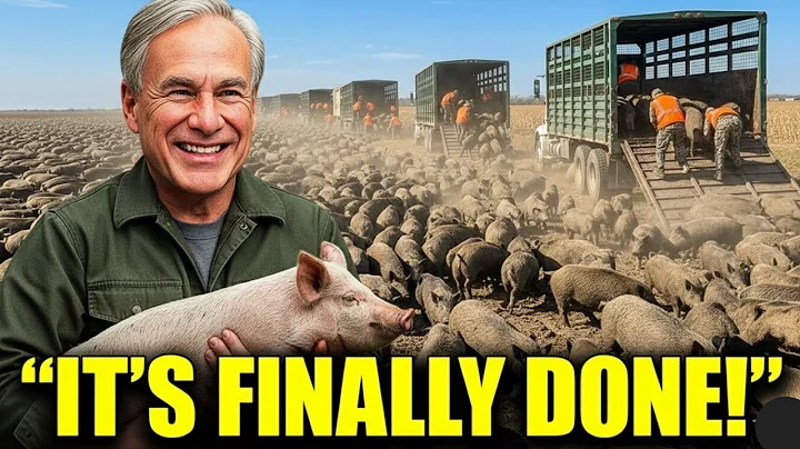 Texas’ Wild Boar Nightmare Was Worse Than Anyone Knew — Until They Fought Back