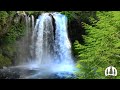 Waterfall Sounds – Peaceful Nature Ambience for Relaxation &amp; Sleep (3 Hours)
