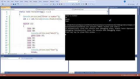 Myriad Multiple Selection Approaches in Different Programming Languages