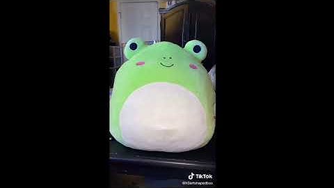Very short wendy the frog squishmallow tiktok compilation