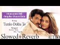 Tumko Dekha To Kya Ye Ho Gaya // Old //  (Slowed+Reverb) Song // Kumar Sanu // Alka Yagnik //