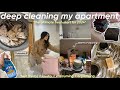 Deep clean my apartment with me    organisecleanvacuum 