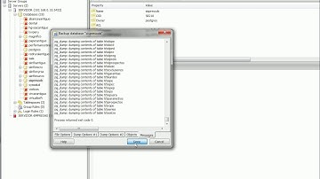 Forma de realizar copias de seguridad de la BDD Postgre SQL