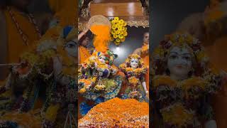 jai Shree Krishna #hareramaharekrishna #flower abhishekam