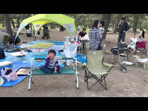 【家族でBBQ】子供大喜び！浜寺公園で無料バーベキュー、がっつりサンシェードも張ってデイキャンプやってきました。#bbq #キャンプ
