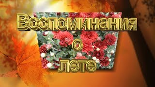 Воспоминания о лете