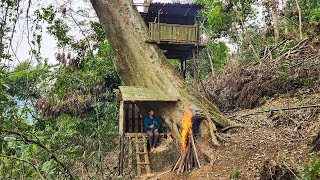 Build a complete shelter for a solo bushcraft trip under a giant tree | Solo Bushcraft Trip