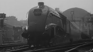 Vintage railway film  Elizabethan express  1954