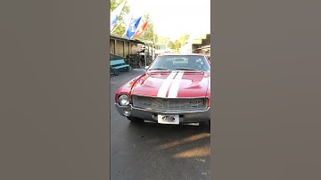 1969 AMC AMX (V21239)