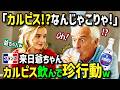 【海外の反応】「おじいさんに何てもの飲ませたの!?」留学中の孫に会うため初来日のフランス人祖父が人生初カルピスに夢中に!?帰国後カルピスロスで祖母困惑の珍行動にw