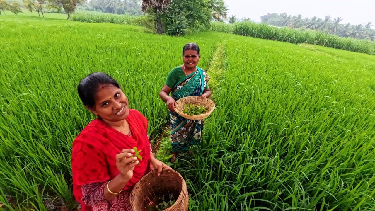 நகரத்துலதான் இது அதிசயம் ஆன எங்க கிராமத்துல இது இலவசம் #indiakutty