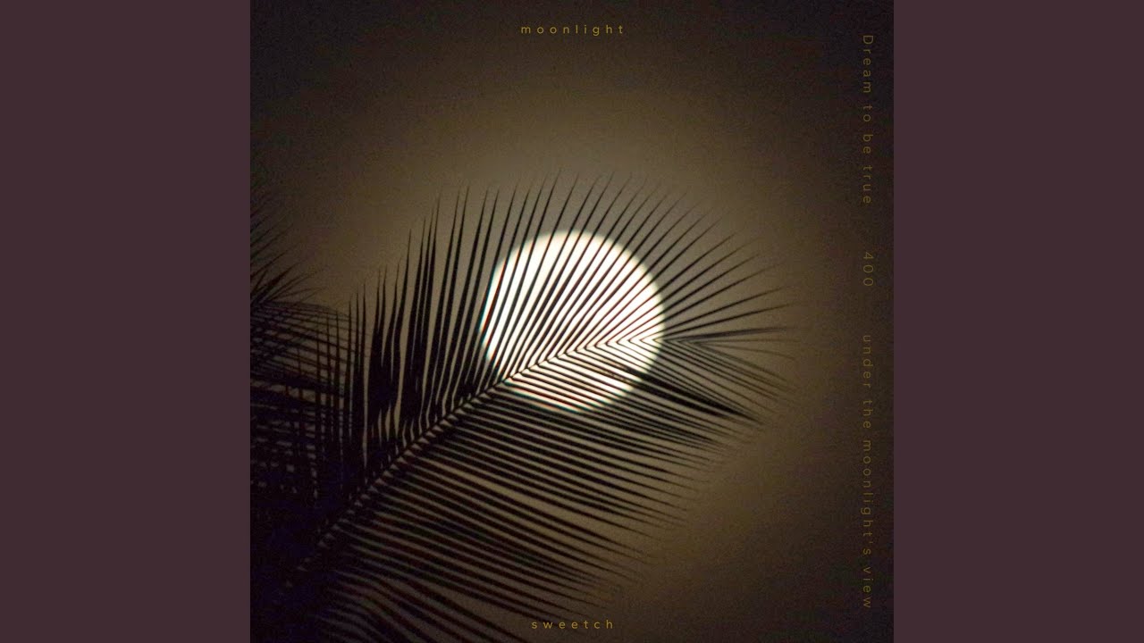 m o o n l i g h t (feat. Coldin) - YouTube