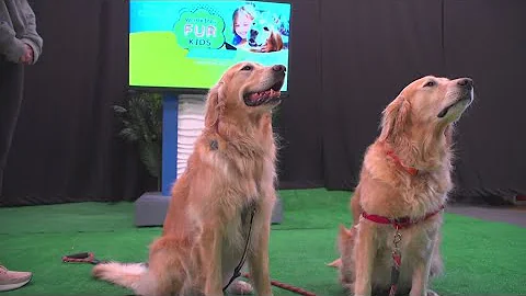 Help launch a Resident Canine Therapy Program at Rady Children’s in San Diego